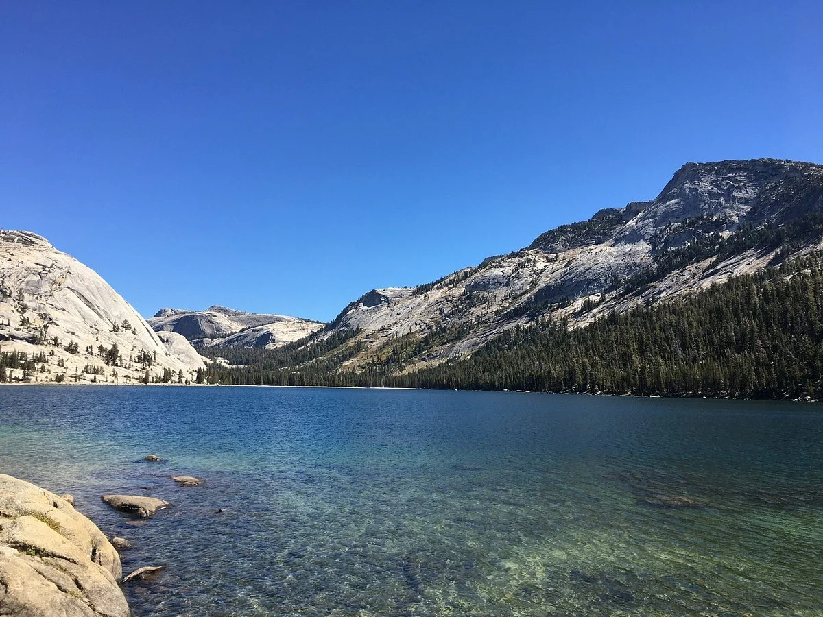 Tioga Road