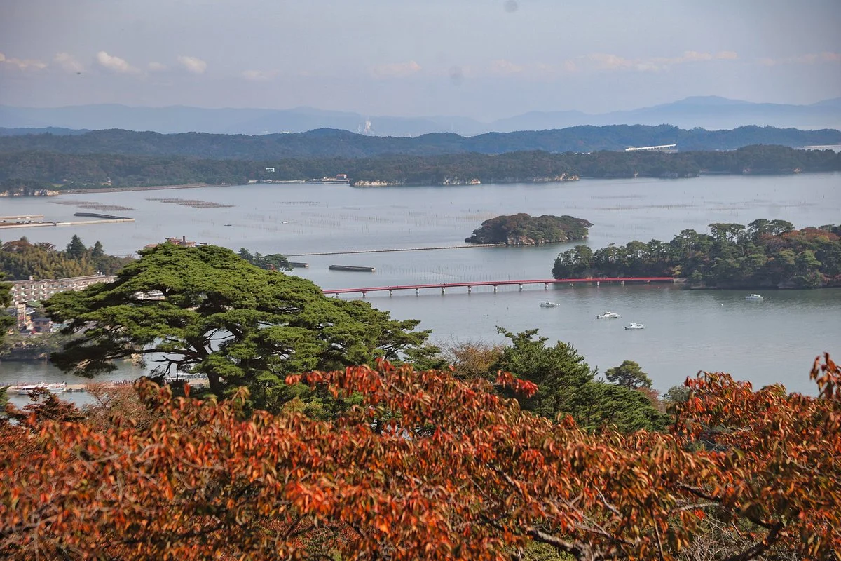 Saigyo Modoshi no Matsu Park