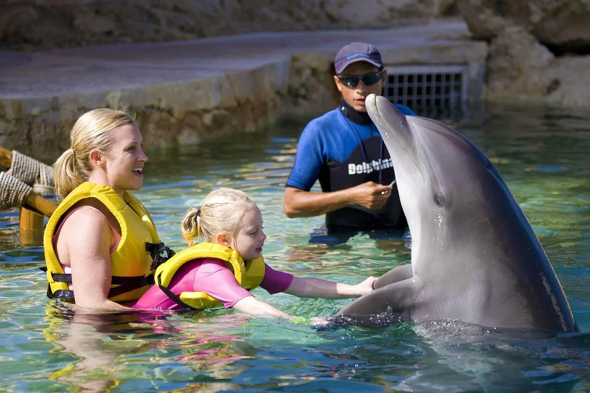 Dolphinaris