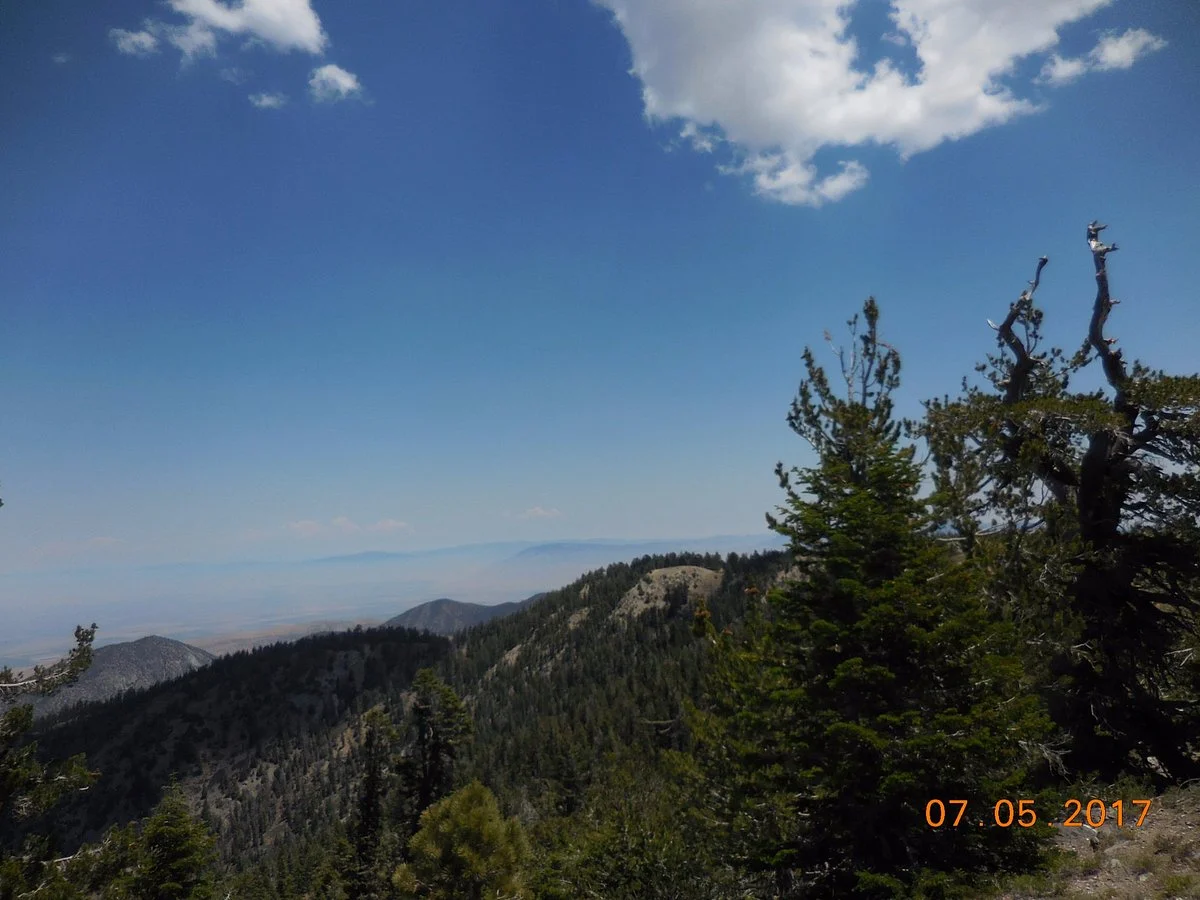 Mt. Pinos
