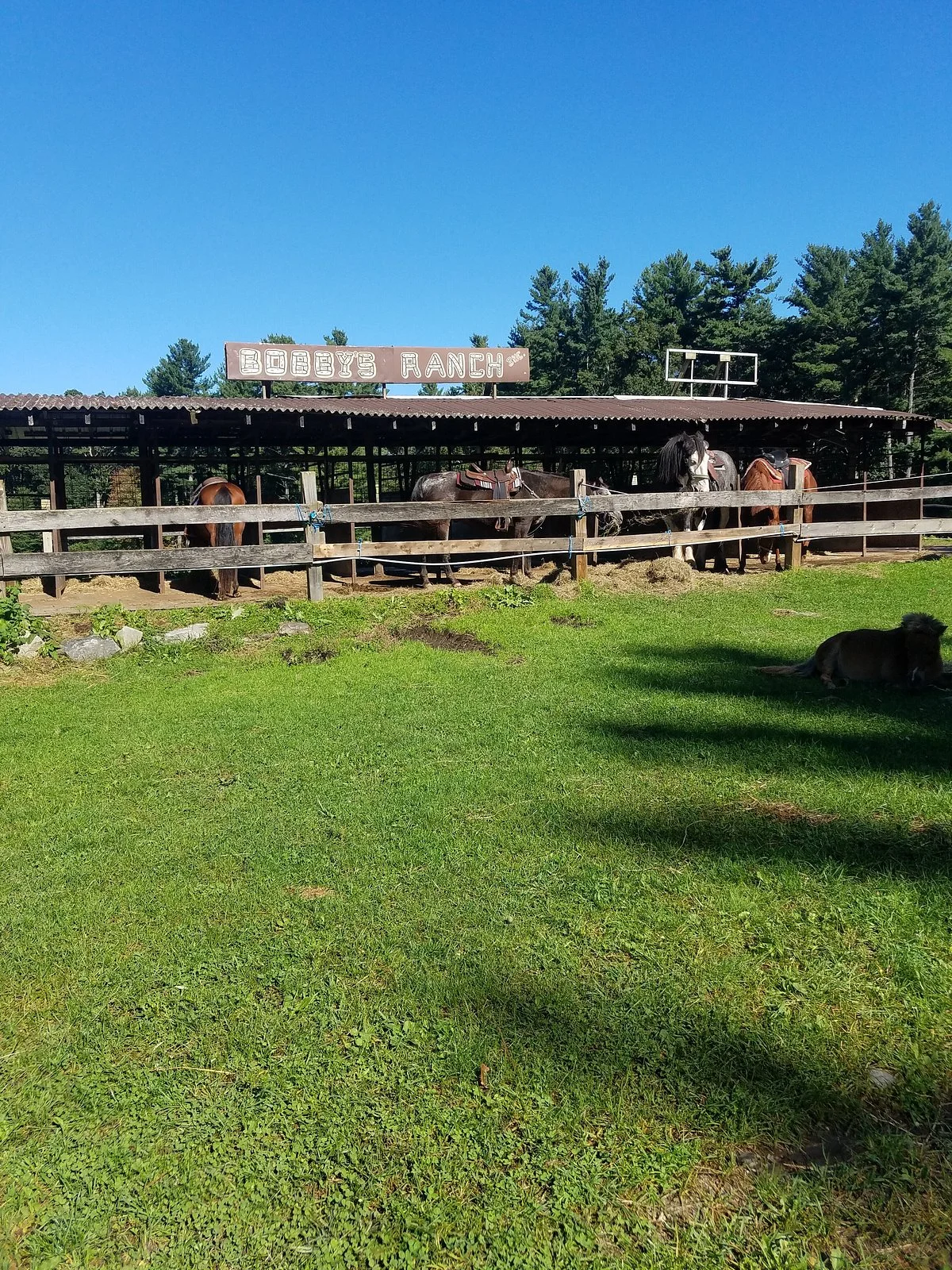 Bobby's Ranch
