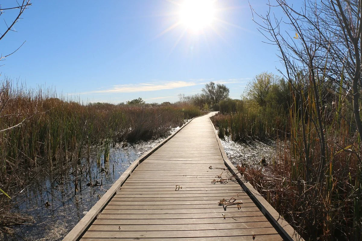 I-20 Wildlife Preserve