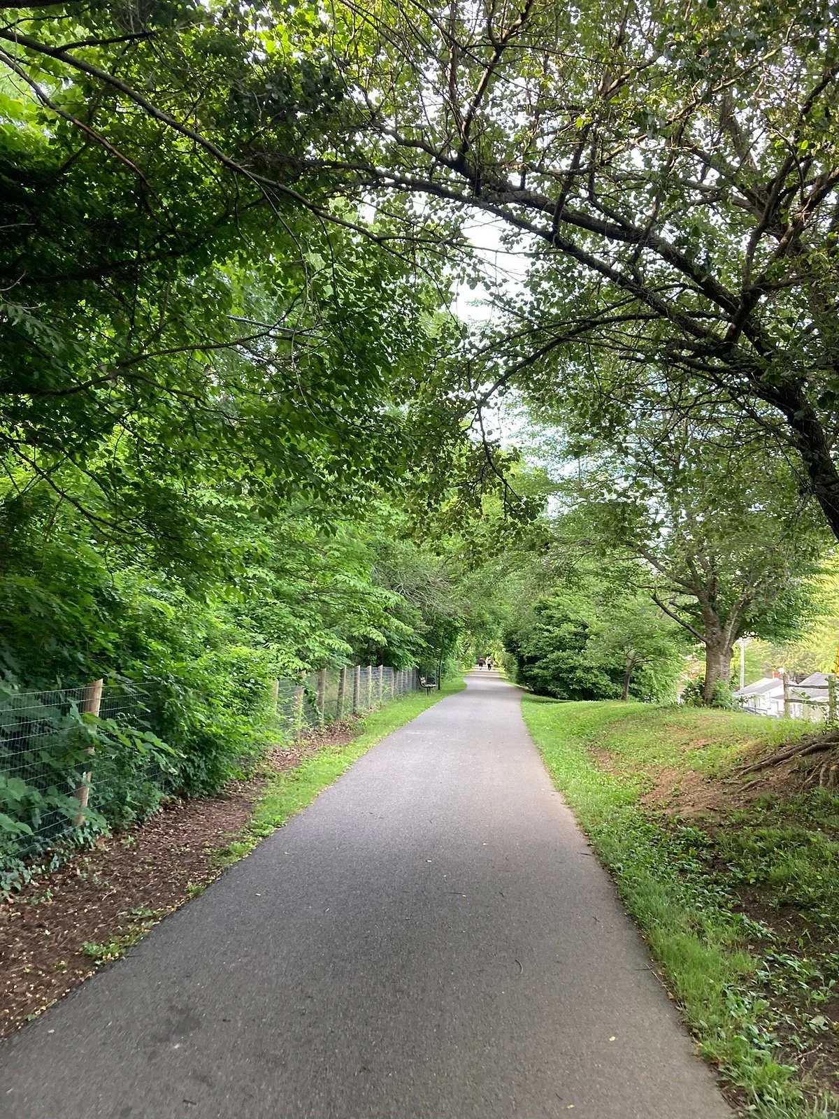 Huckleberry Trail