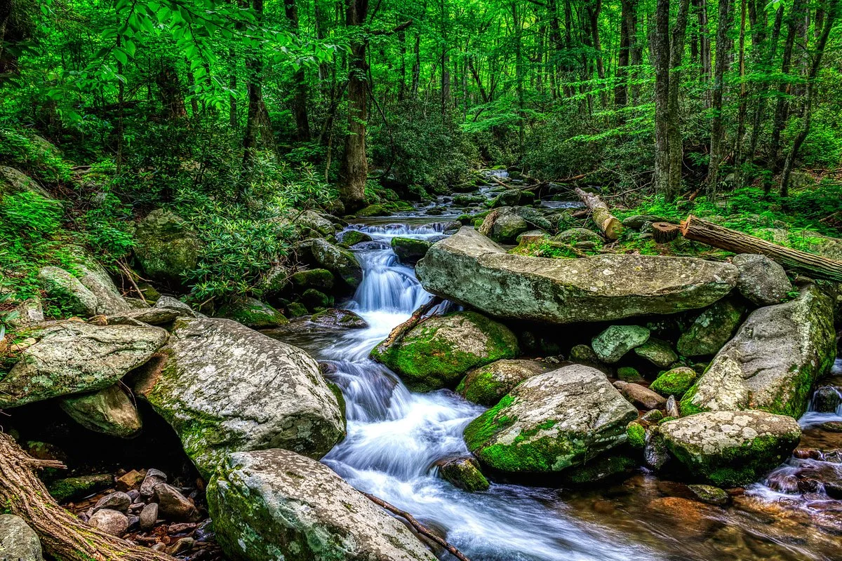 Roaring Fork