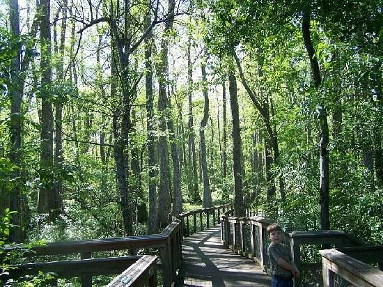 Bluebonnet Swamp Nature Center