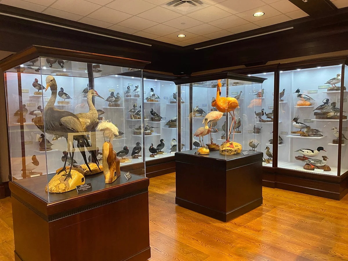 Monte L. Bean Life Science Museum