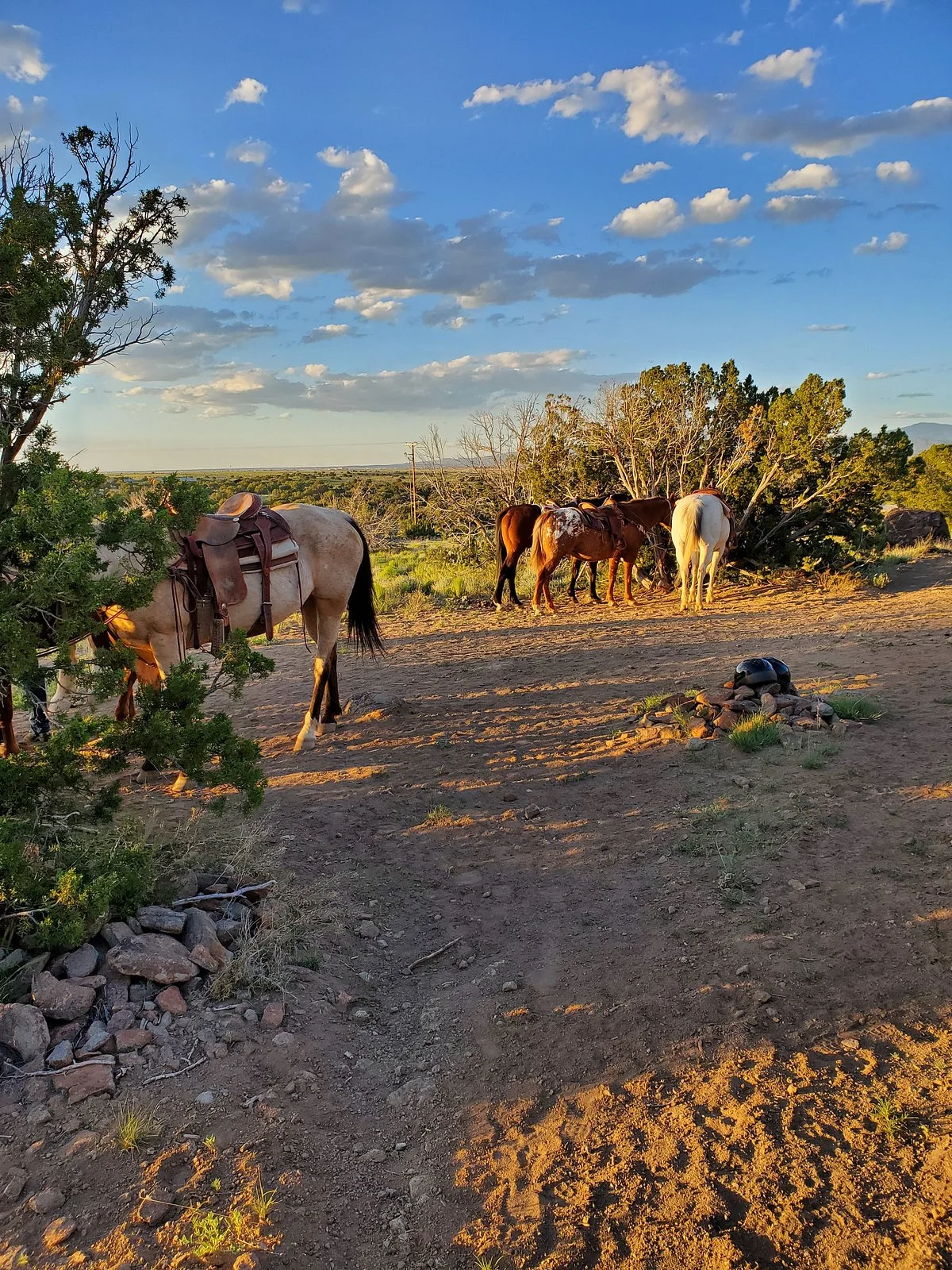 Lone Butte Ranch
