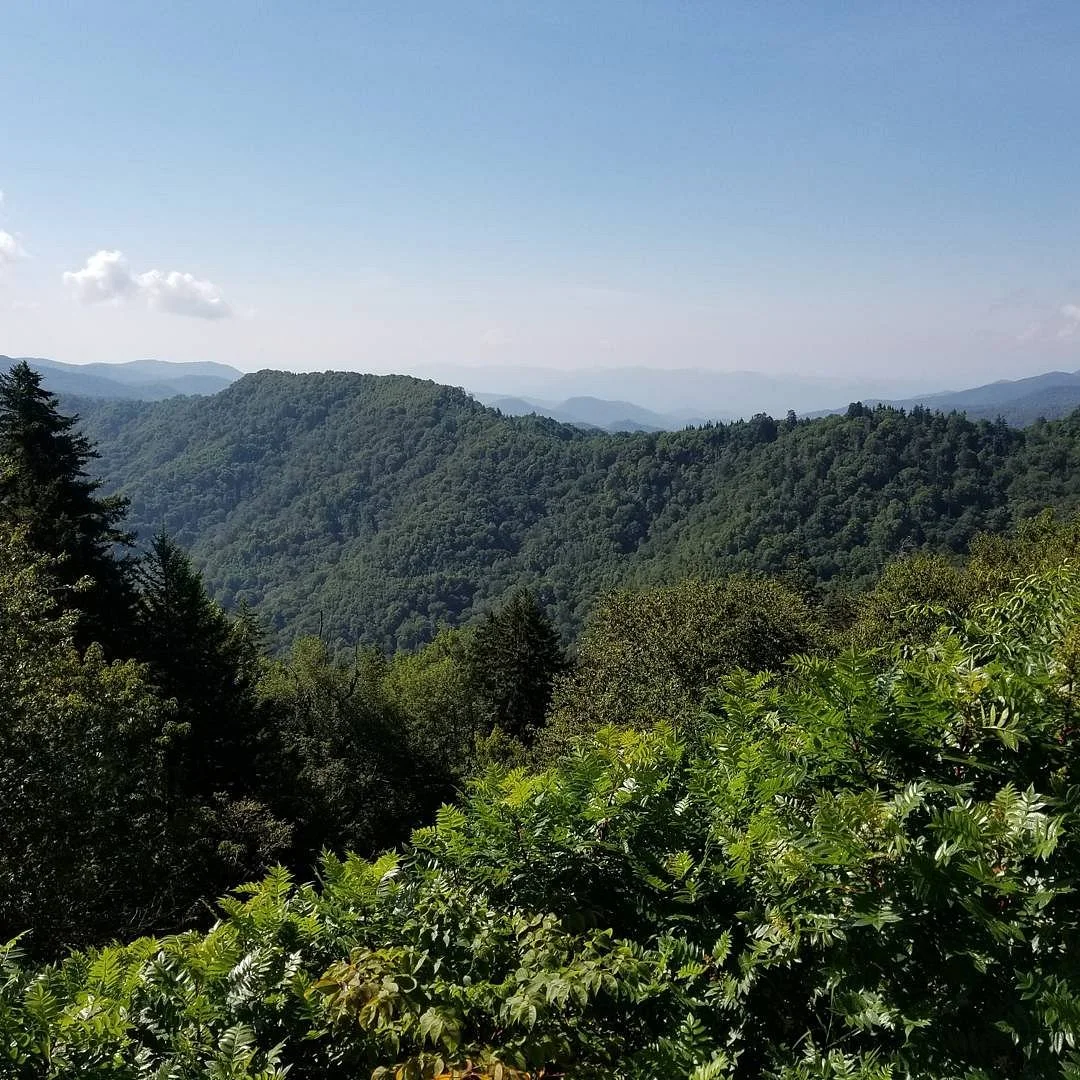 Newfound Gap Comfort Station
