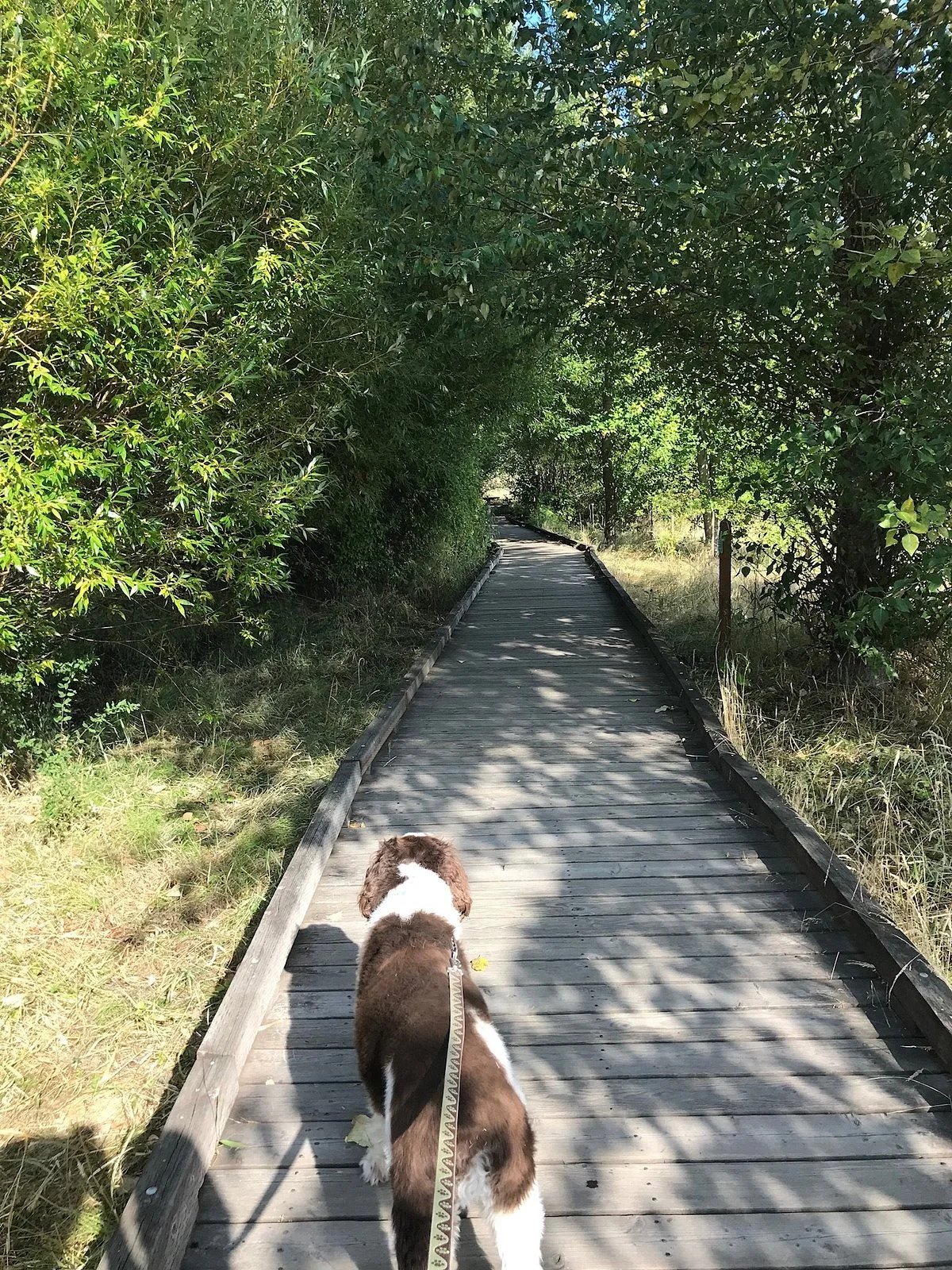 Clear Creek Trail