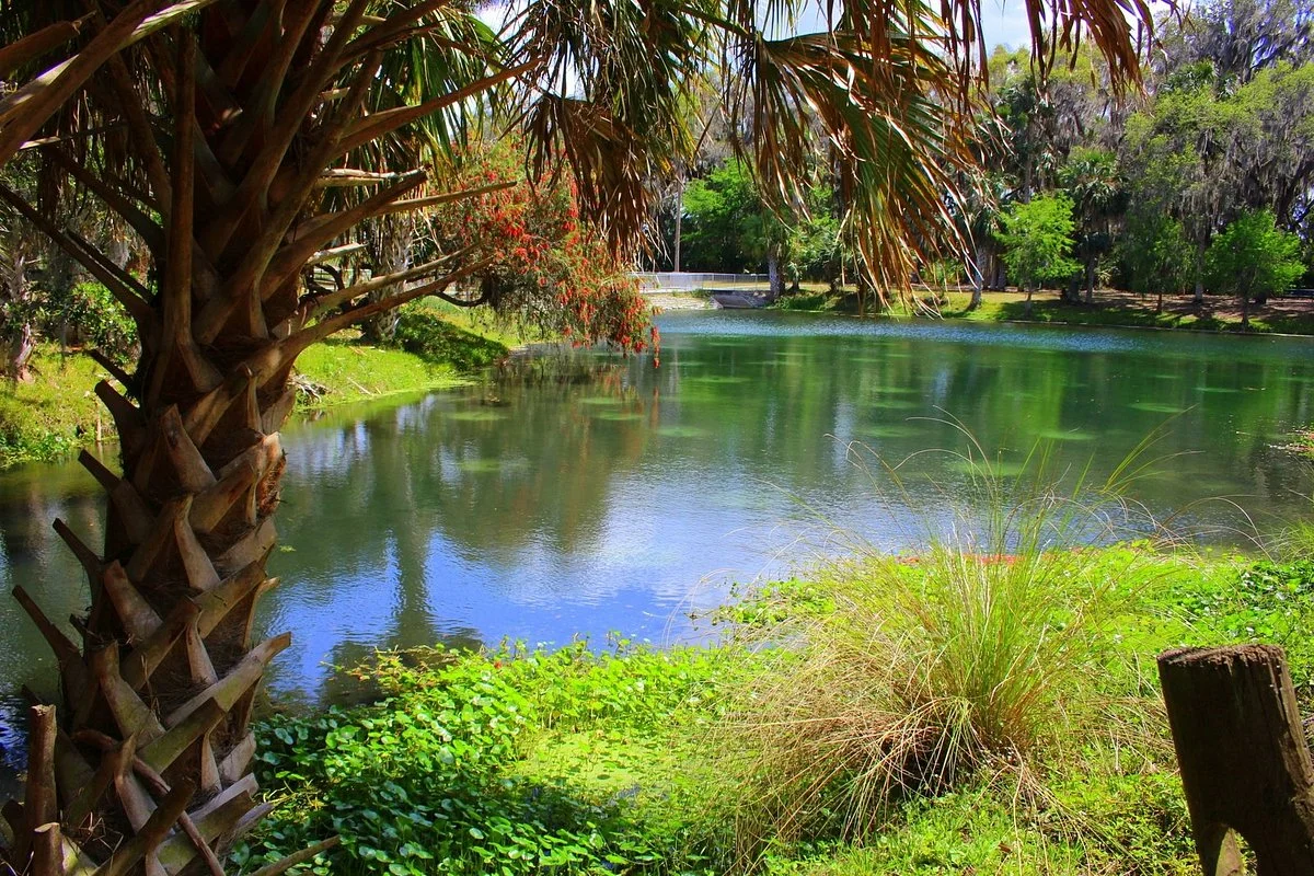 Gemini Springs Park
