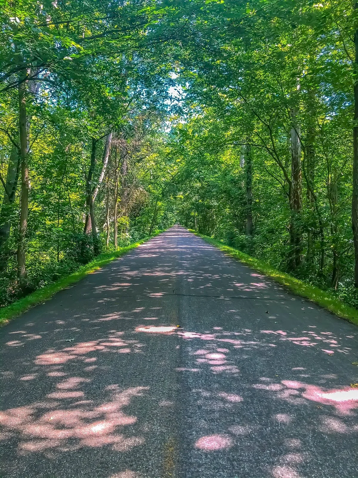 Holmes County Trail
