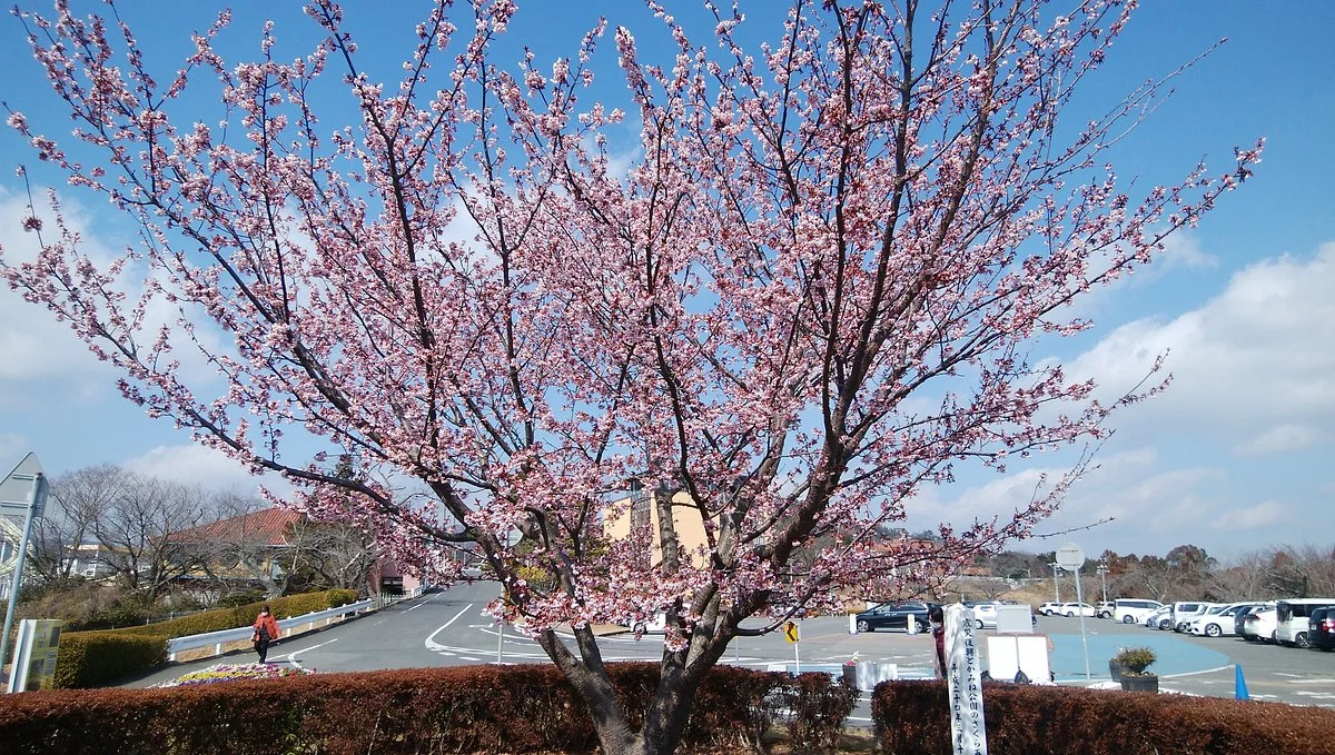 Kamine Park