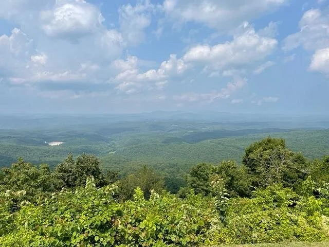Ouachita National Forest