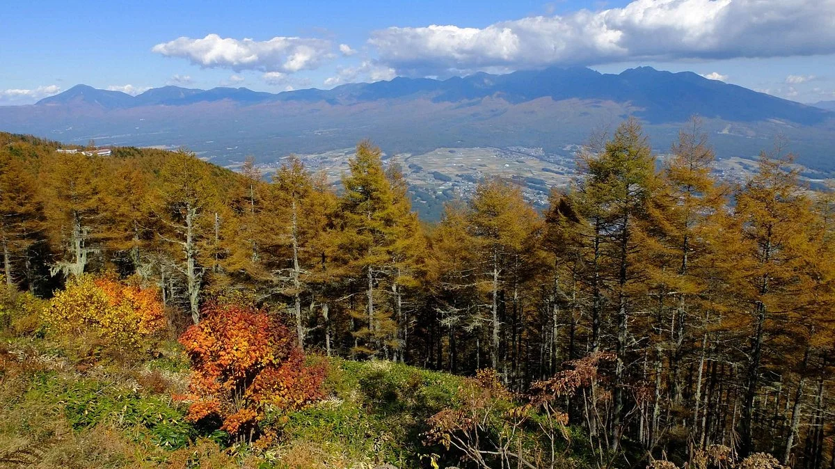 Fujimi Panorama Resort