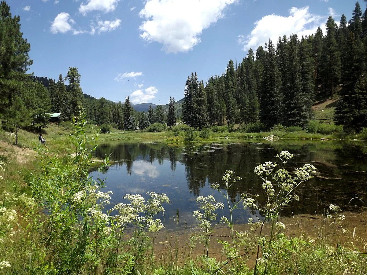 Santa Fe National Forest