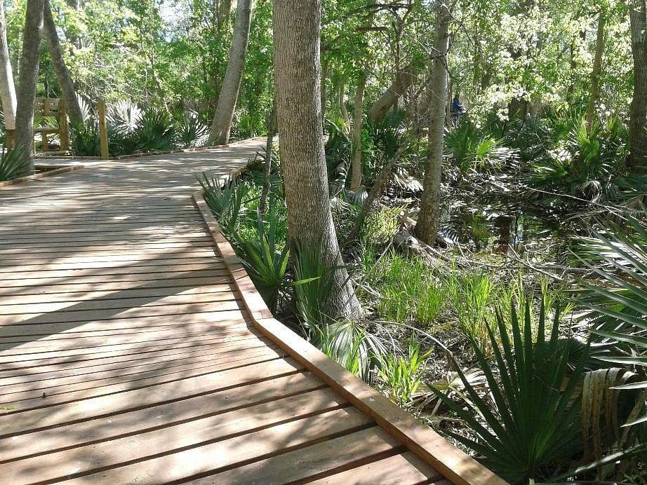 Palmetto State Park