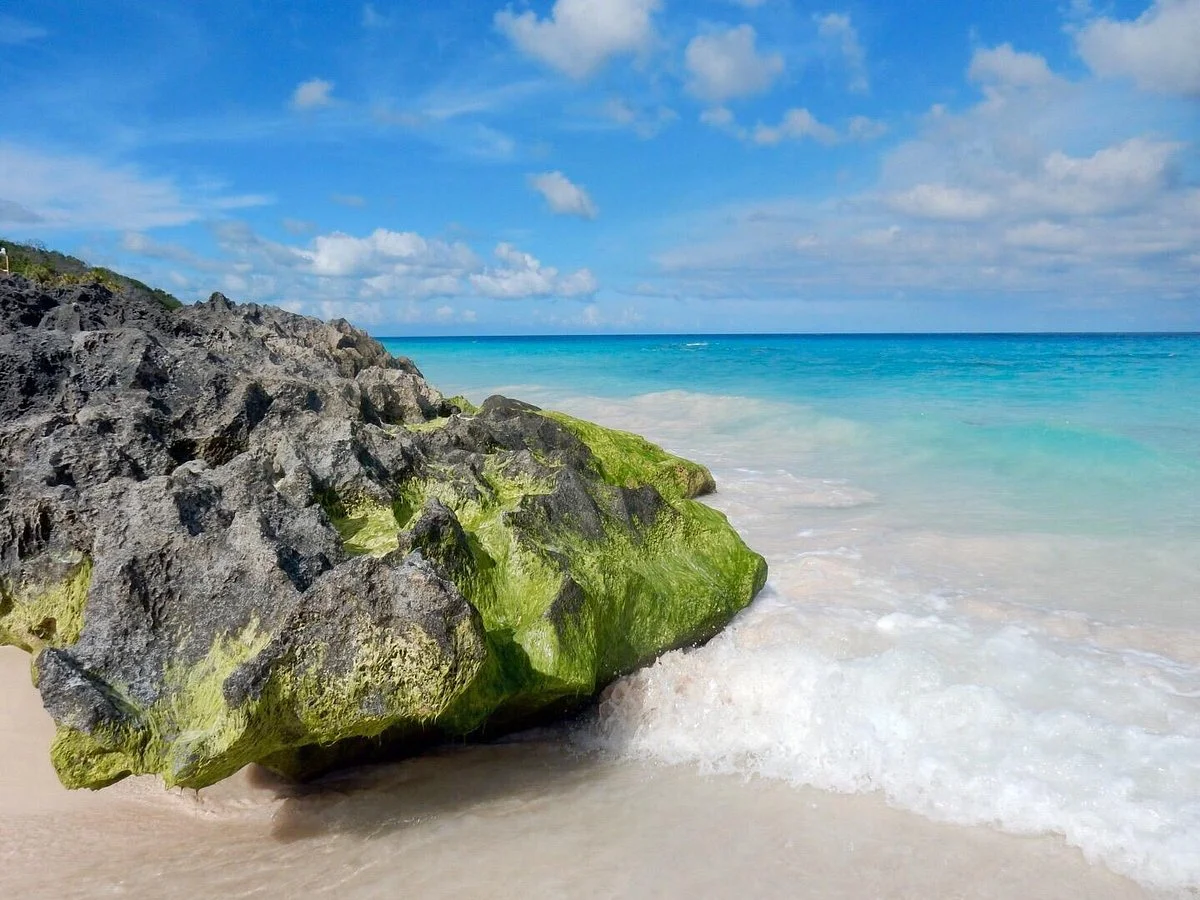Elbow Beach