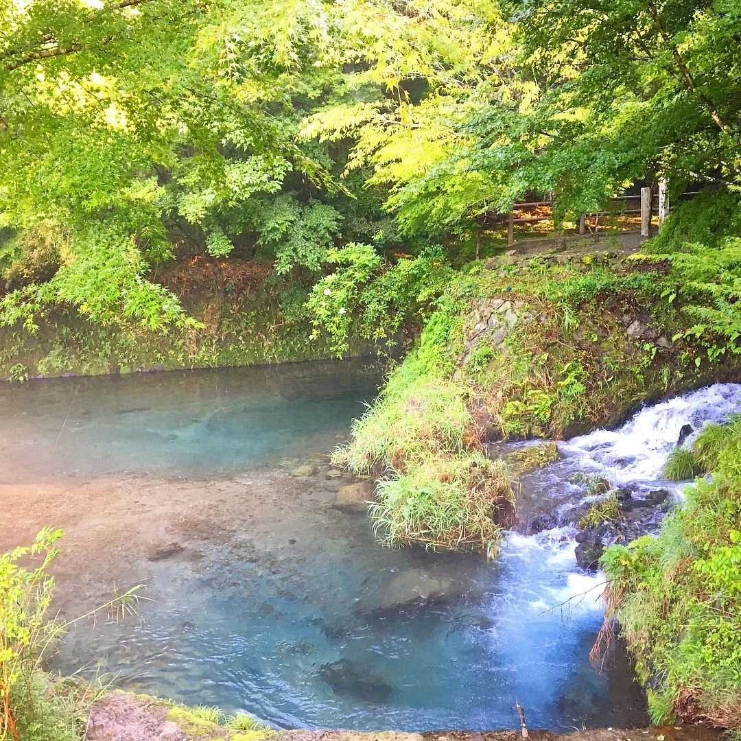 Ikeyama Spring