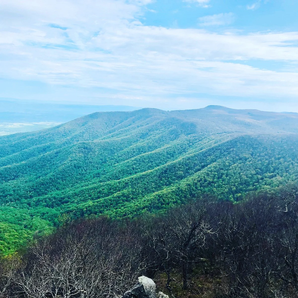 Hawksbill Mountain