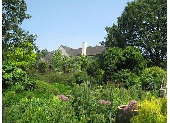 Chanticleer