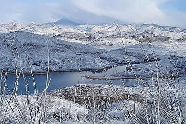 Patagonia-Sonoita Creek Preserve
