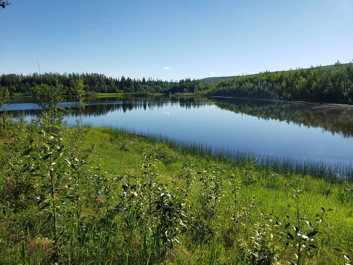 Wedgewood Wildlife Sanctuary