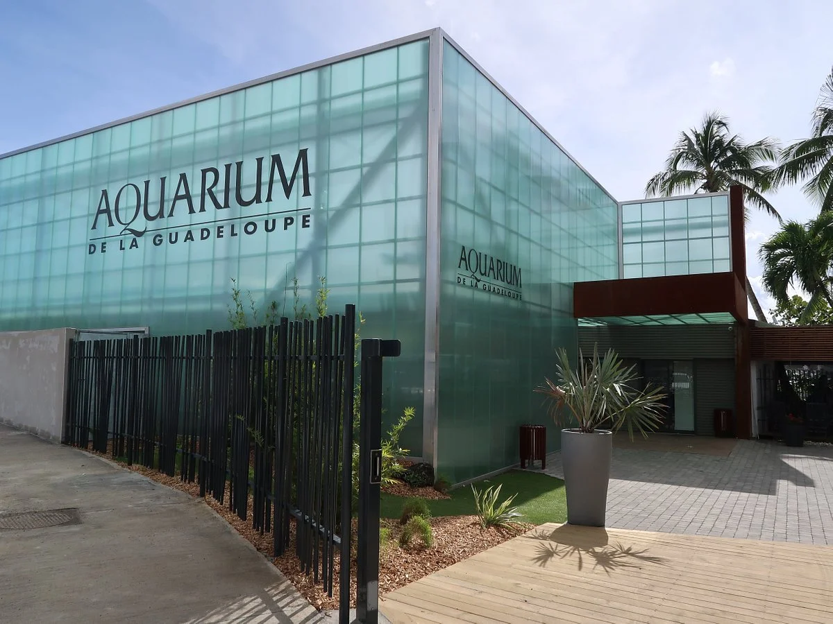 Aquarium de la Guadeloupe
