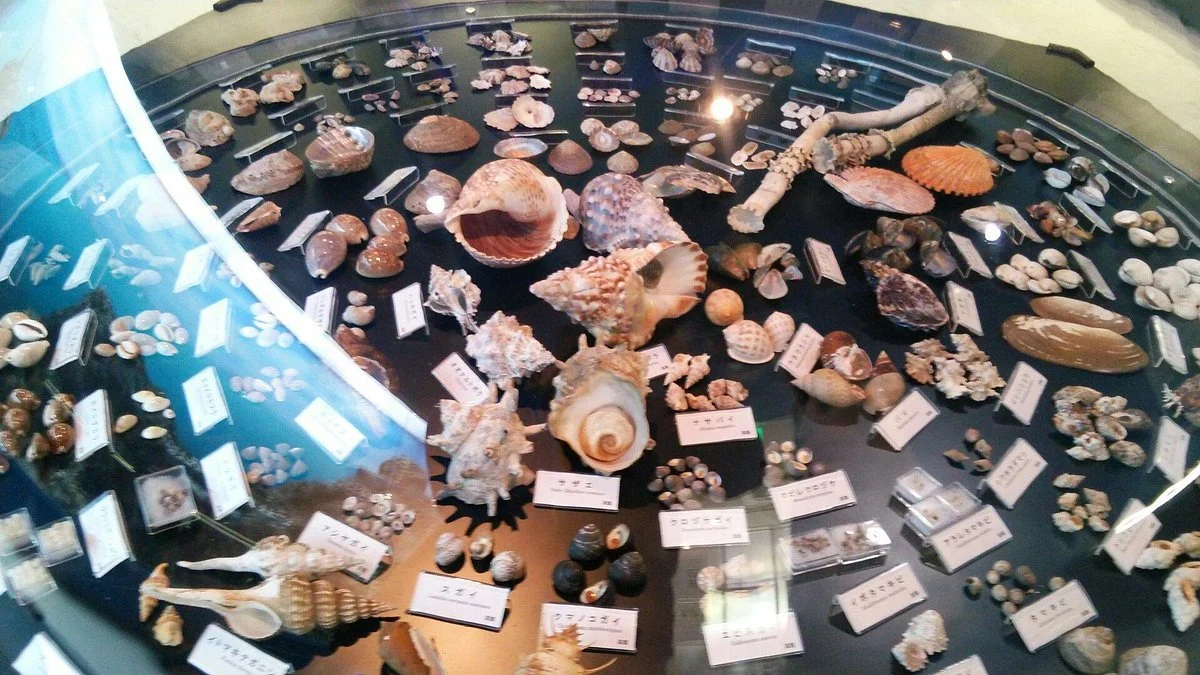 Manazuru Shell Museum