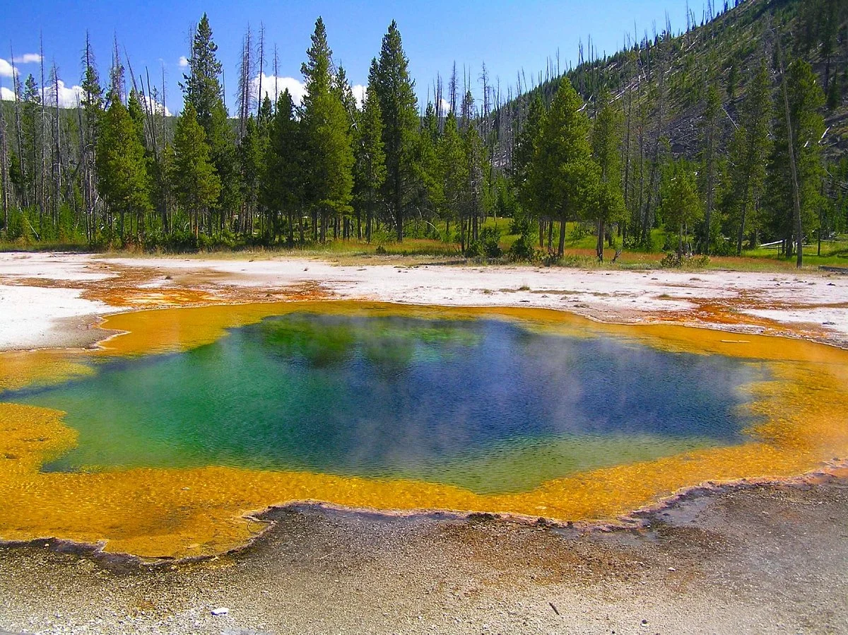 Midway Geyser Basin