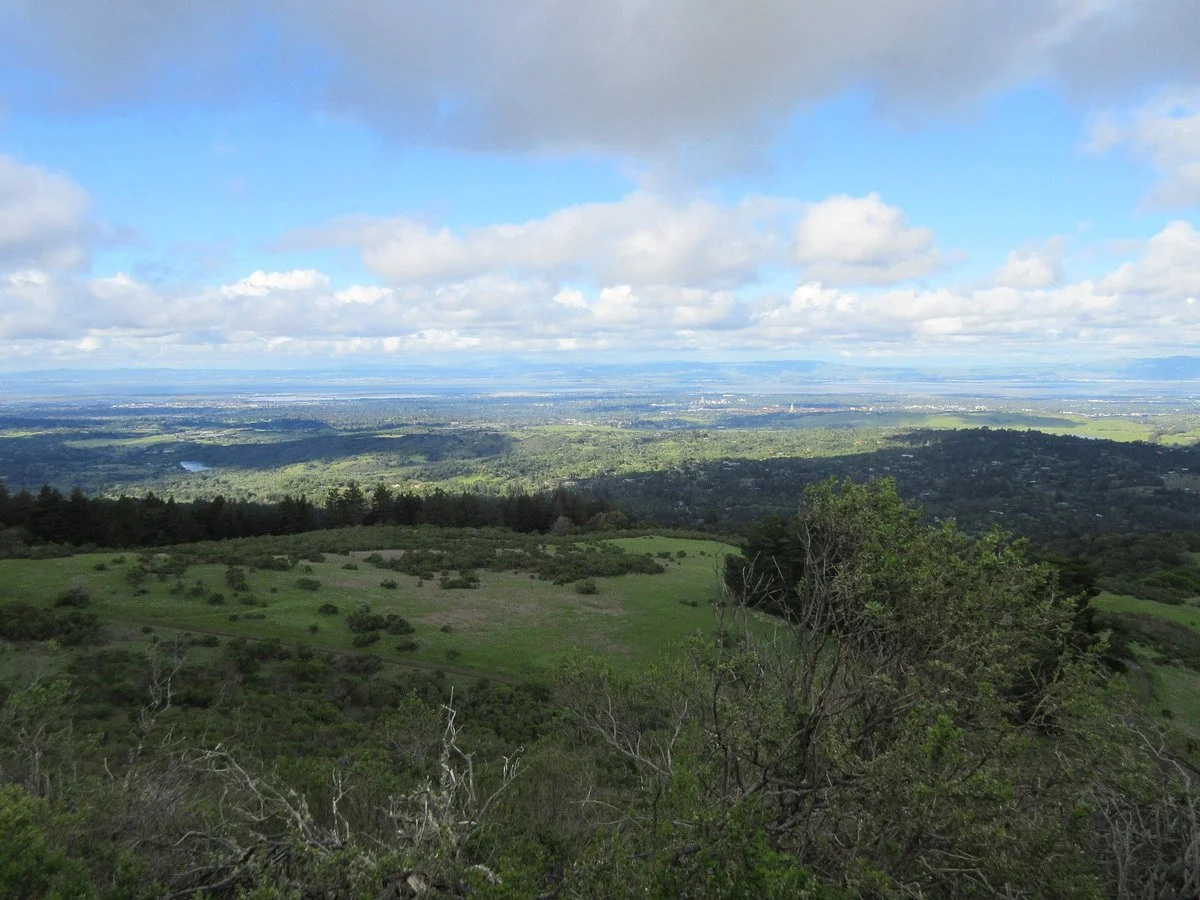Windy Hill Open Space Preserve