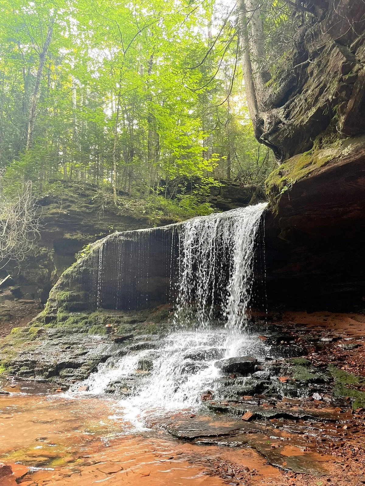 Lost Creek Falls