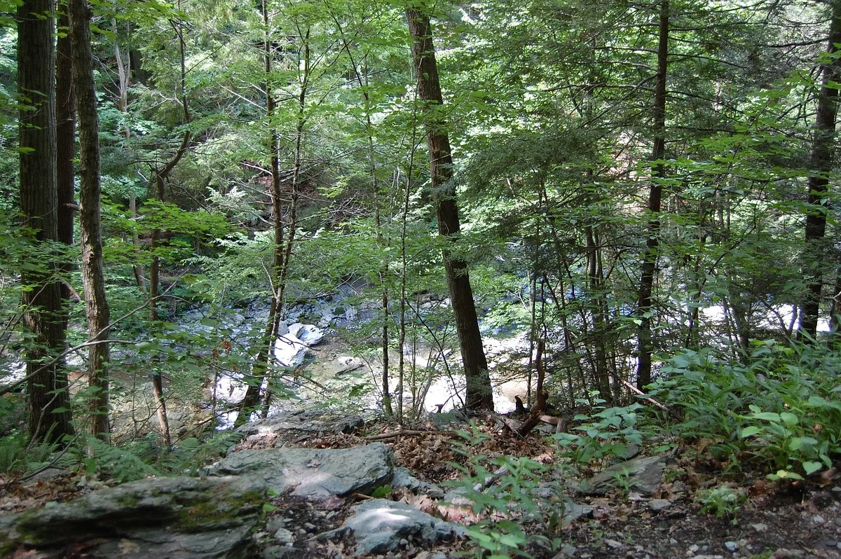 Taconic State Park