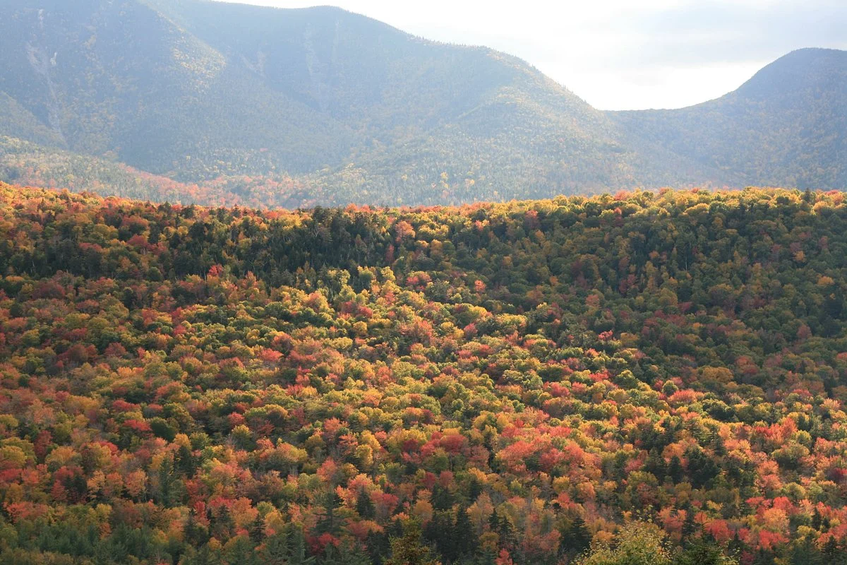 Hancock Overlook
