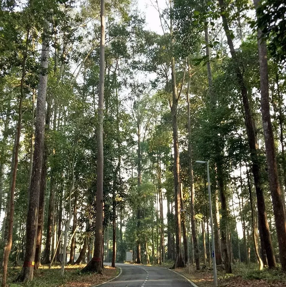Sungai Menyala Edu-Ecotourism Center