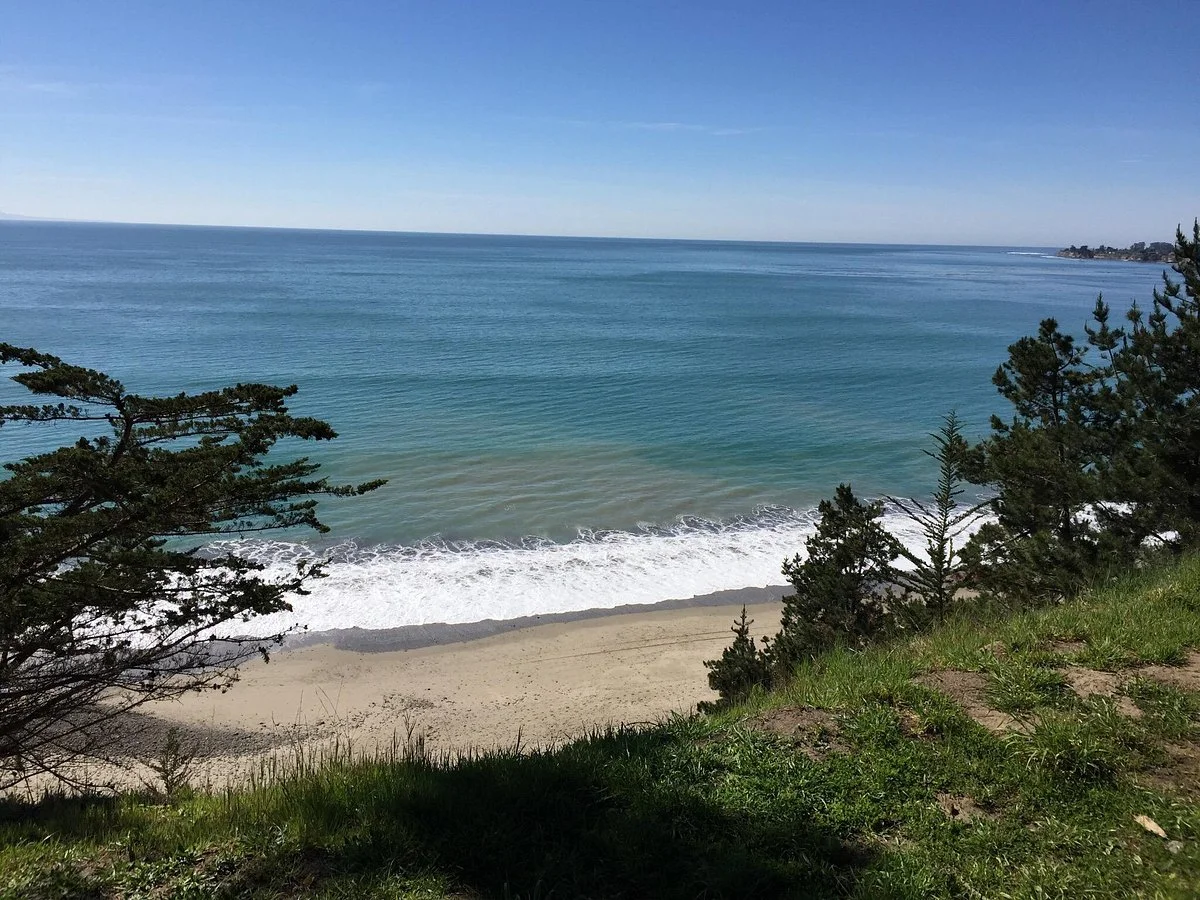 Manresa State Beach