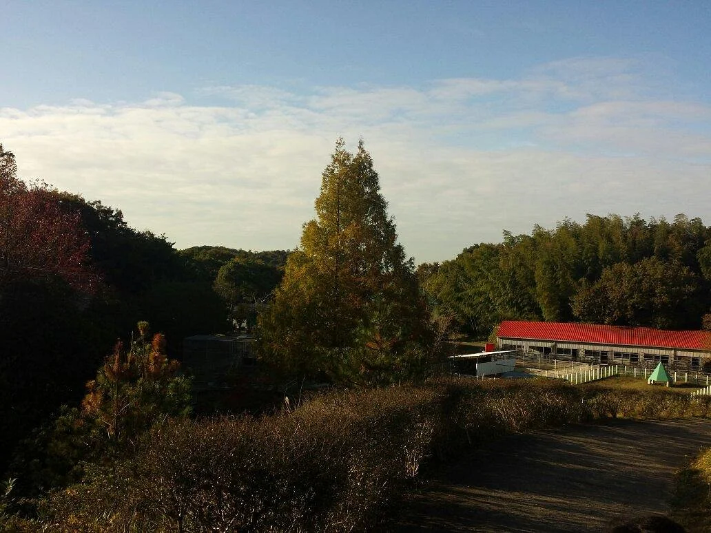 Awaji Country Garden