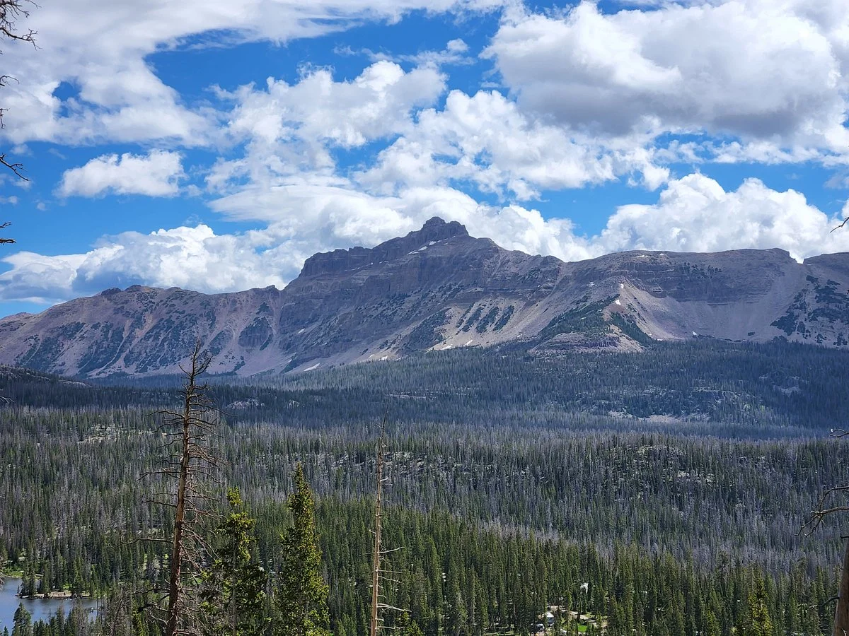 Uinta National Forest