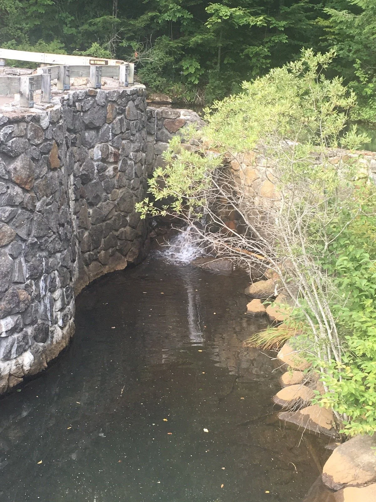Roaring River Memorial Nature Trail