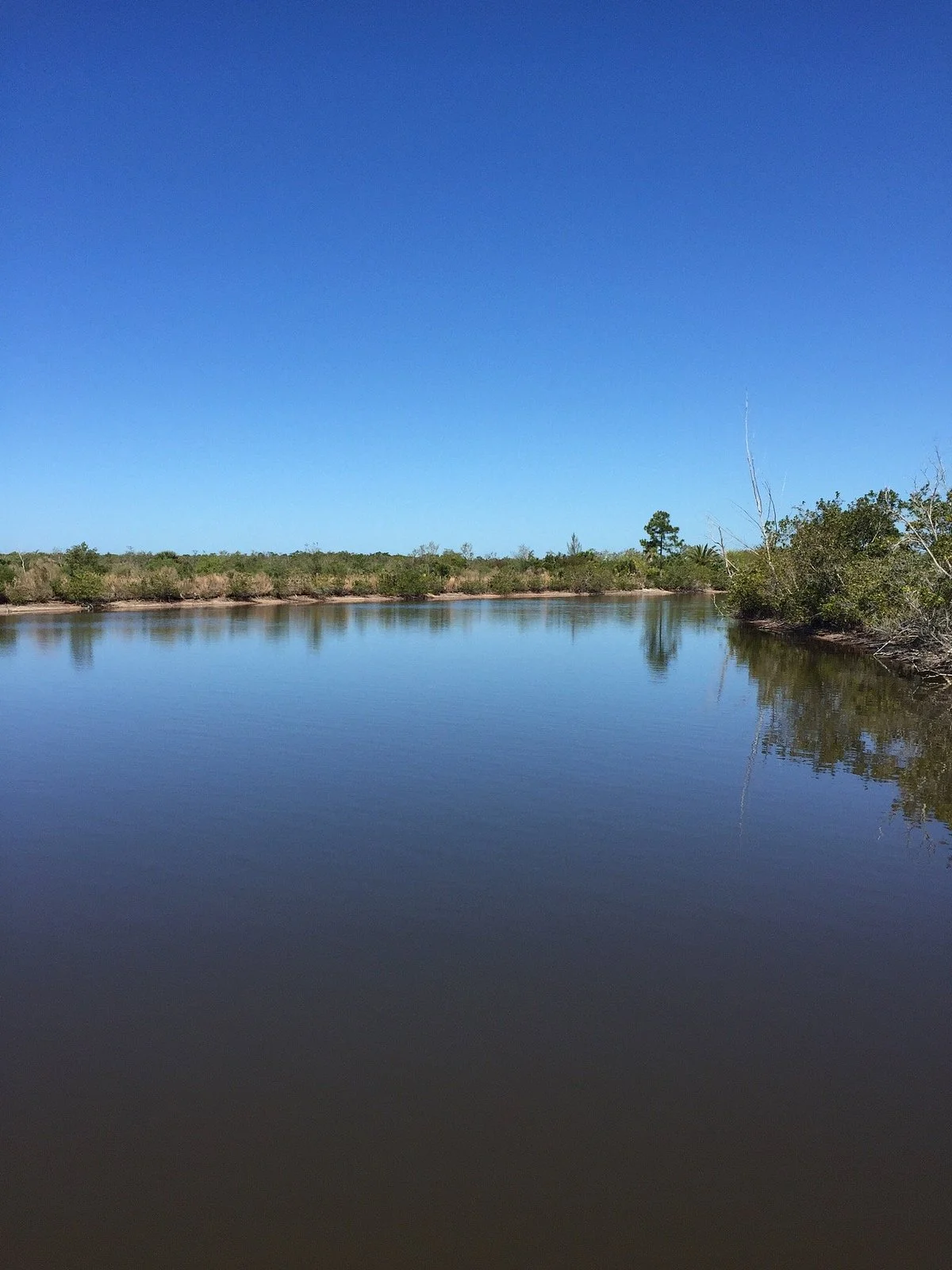 Galt Preserve