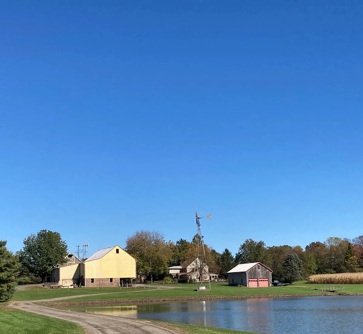 Merrymead Farm