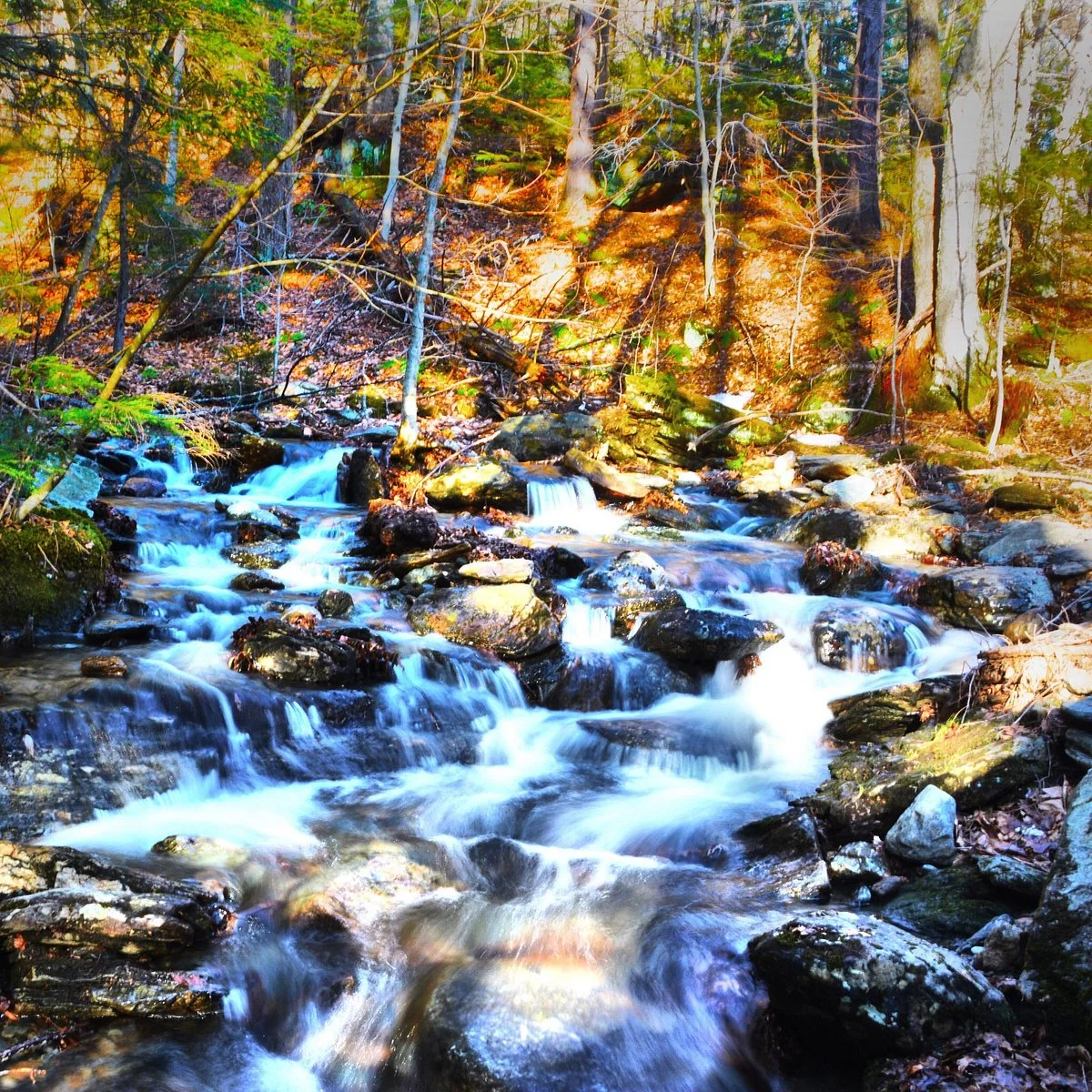 Nebraska's Notch