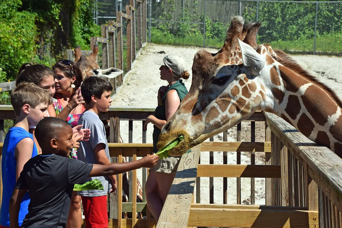 Elmwood Park Zoo