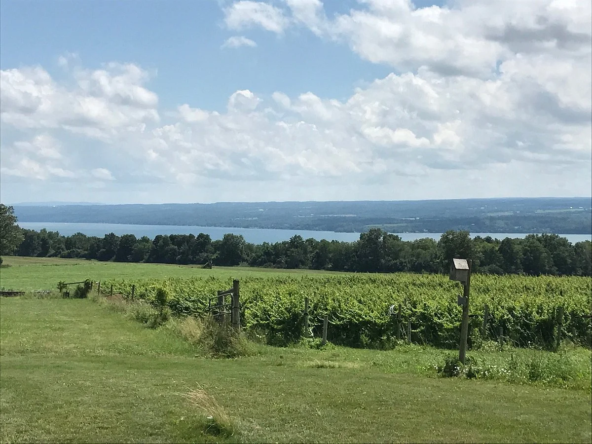 Long Point Winery