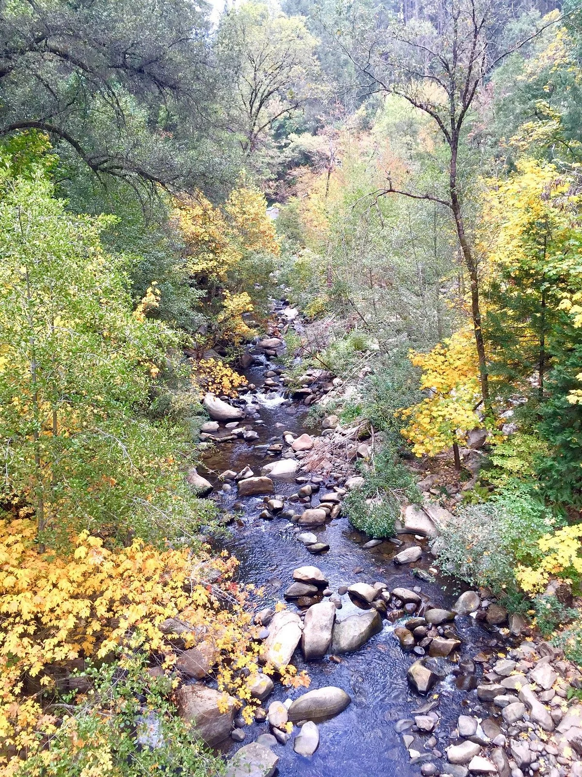 Deer Creek Tribute Trail
