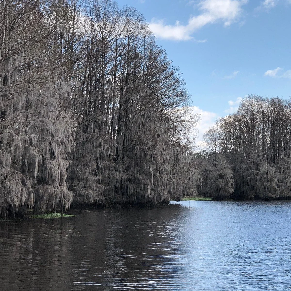 Georgia Veterans State Park