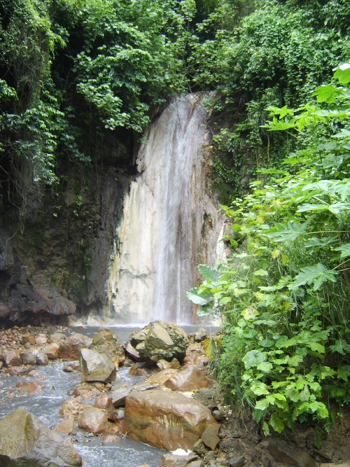 Castries Waterworks Forest Reserve