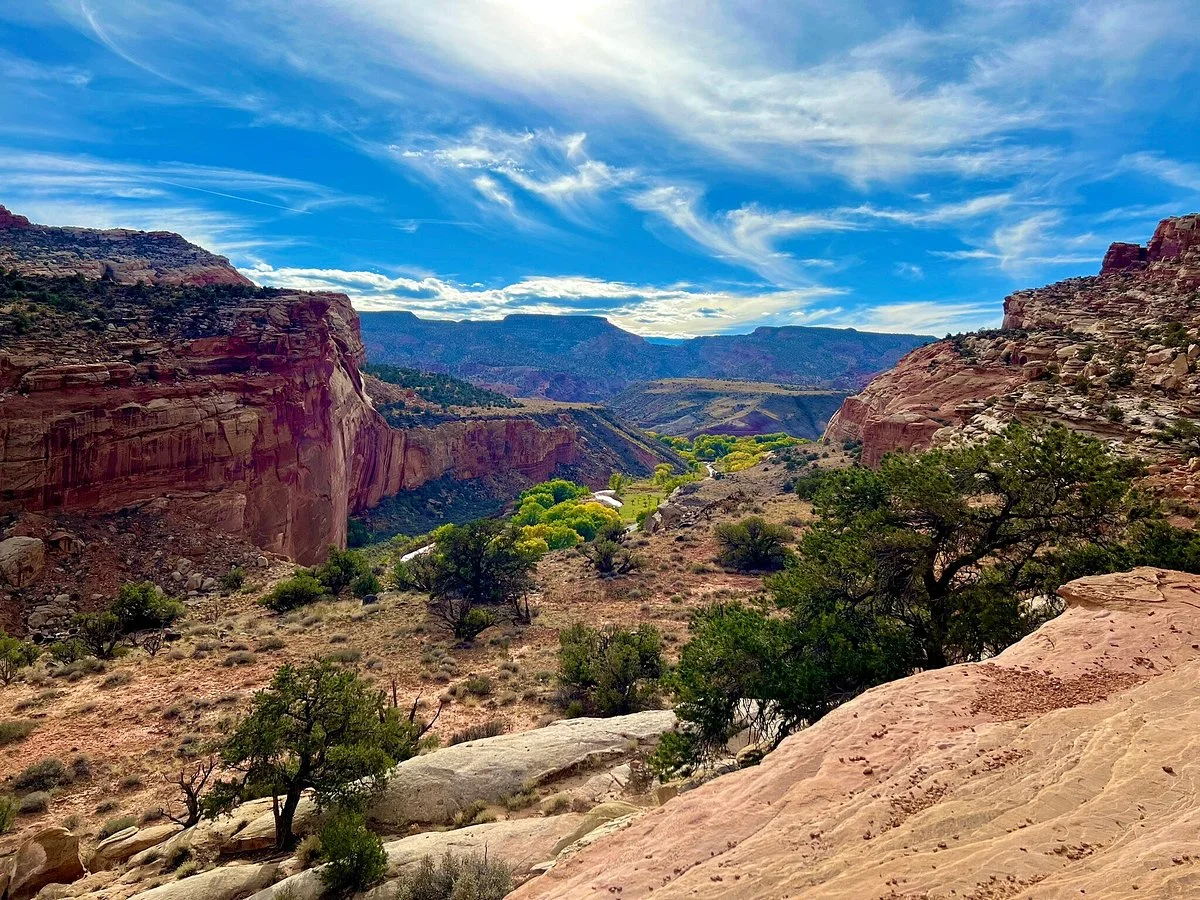The Hickman Bridge Trail