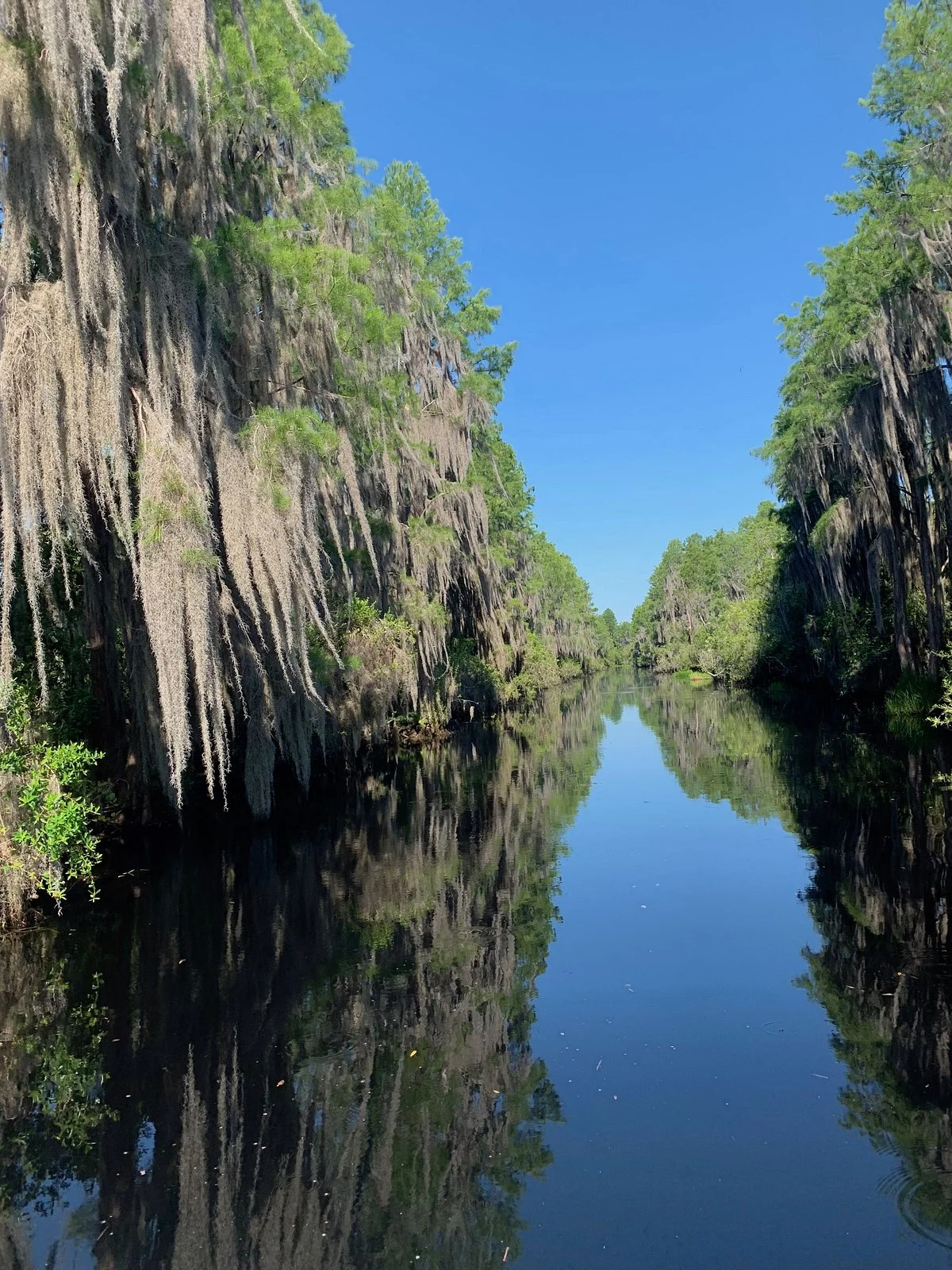 Okefenokee National Wildlife Refuge