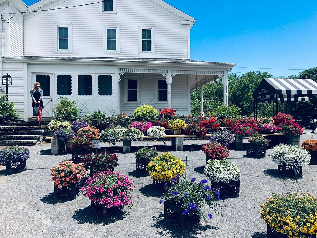 Cider Hill Farm