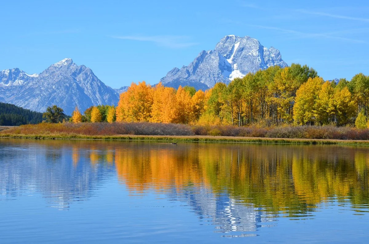 Oxbow Bend